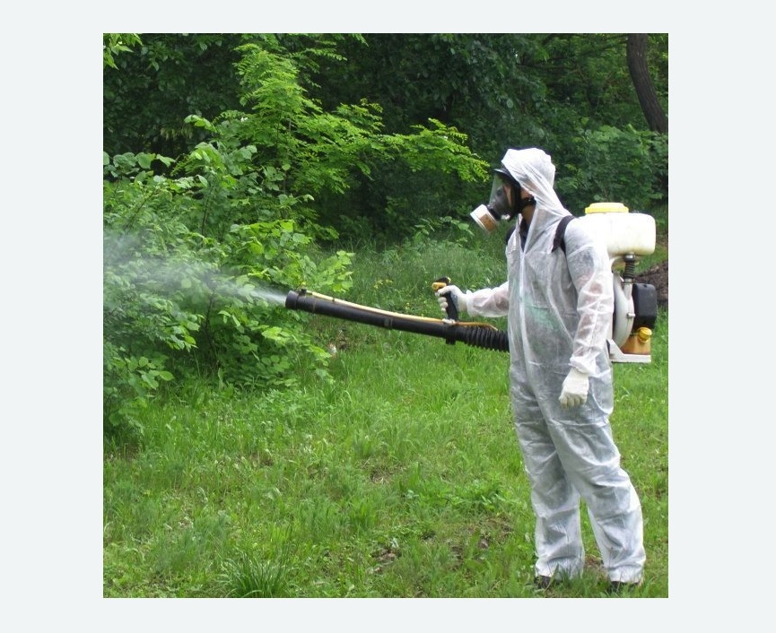 обработка территории от клещей в Дмитровске