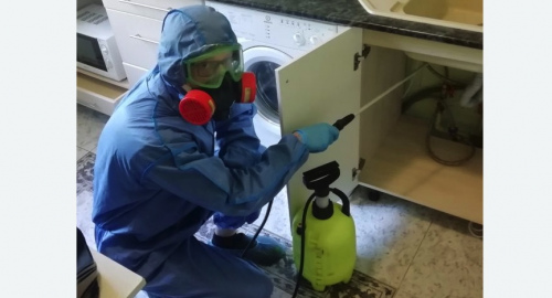 Уничтожение муравьев в квартире. Дмитровск