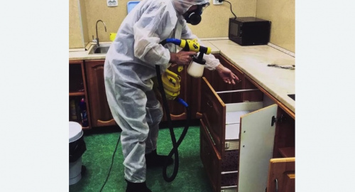 Уничтожение насекомых в квартире. Дмитровск