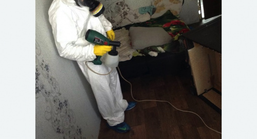 Обработка квартир от насекомых в Дмитровске