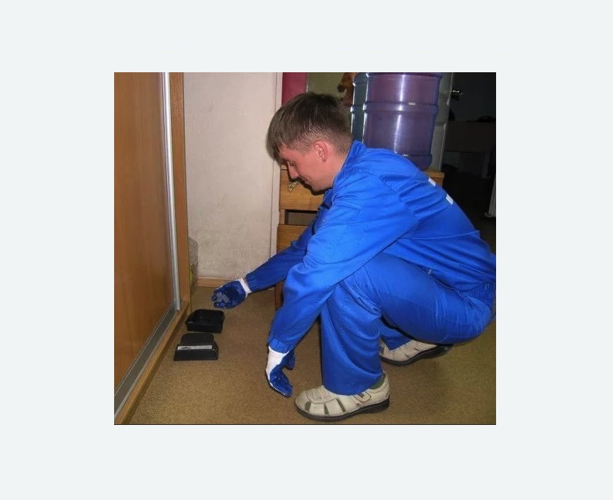 Дератизация крыс в Дмитровске