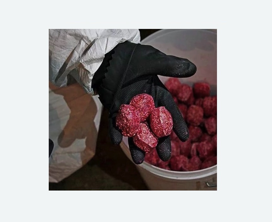 Обработка от крыс в Дмитровске