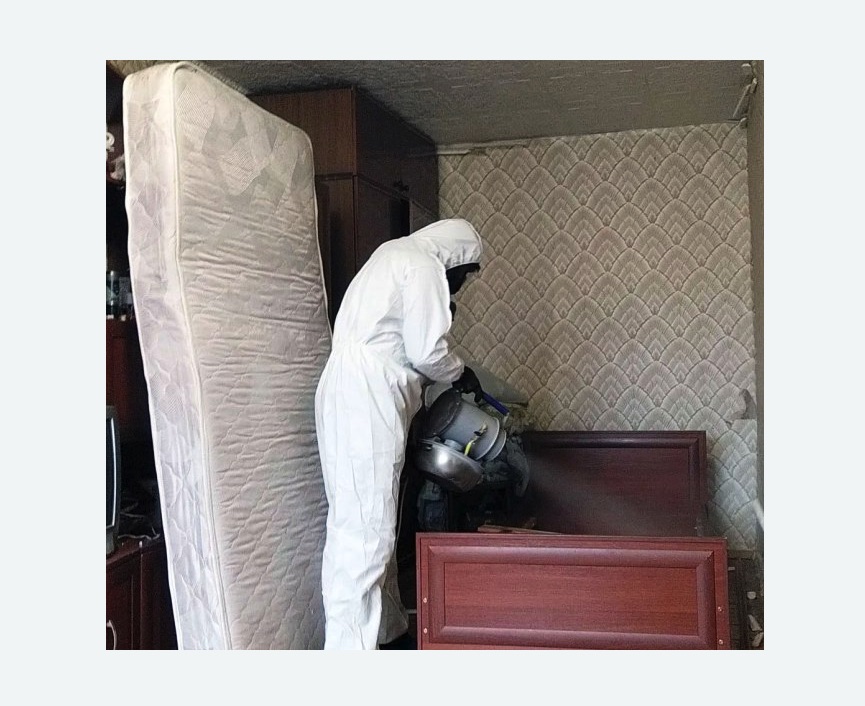 дезинфекция от клопов в Дмитровске