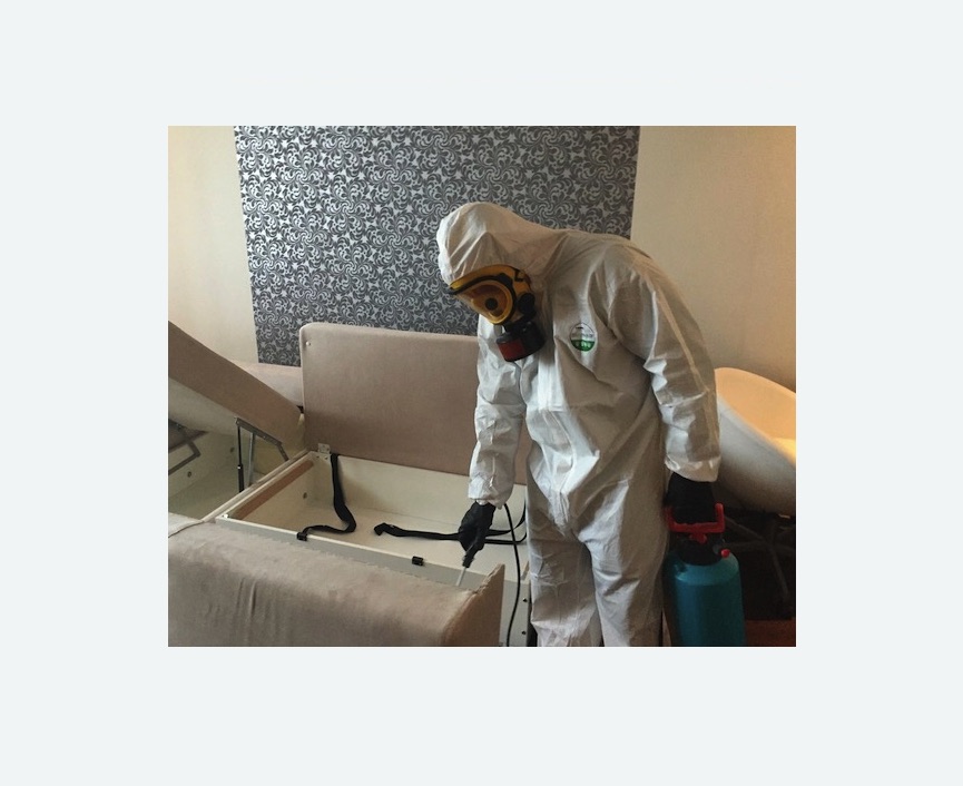 уничтожение клопов в квартире в Дмитровске