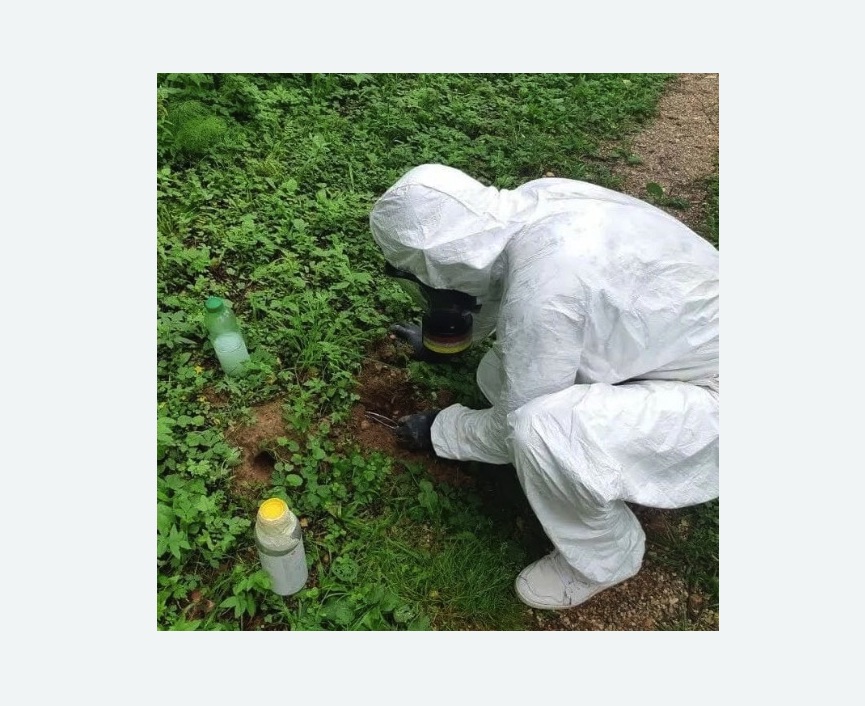 уничтожение кротов на участке в Дмитровске