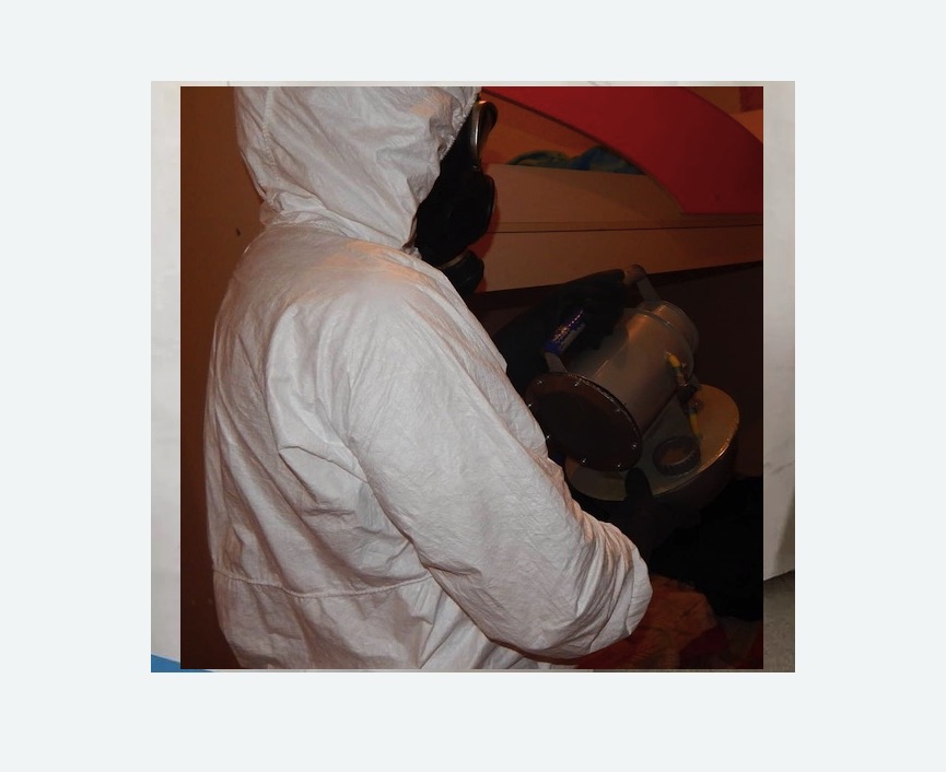 Дезинфекция от муравьев в Дмитровске